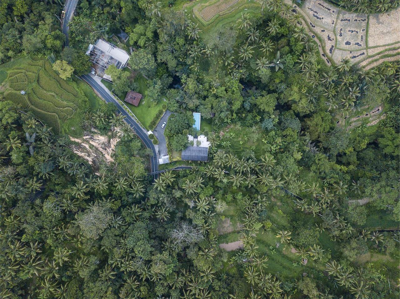 Sandhya Villa Ubud Εξωτερικό φωτογραφία